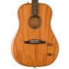 Fender Highway Series Dreadnought - Rosewood Fingerboard - All Mahogany w/ Gig Bag