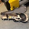 Collings 290 DC SL Lefty Electric Guitar w/ Hard Case - Dog Hair (Pre-Owned)