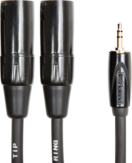Roland RCC-10-352XM Black Series 10ft. Balanced Interconnect Cable with 1/8 in. TRS to Two XLR Male - Bananas at Large