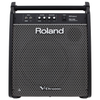 Roland PM-200 180 Watt V-Drum Personal Monitor