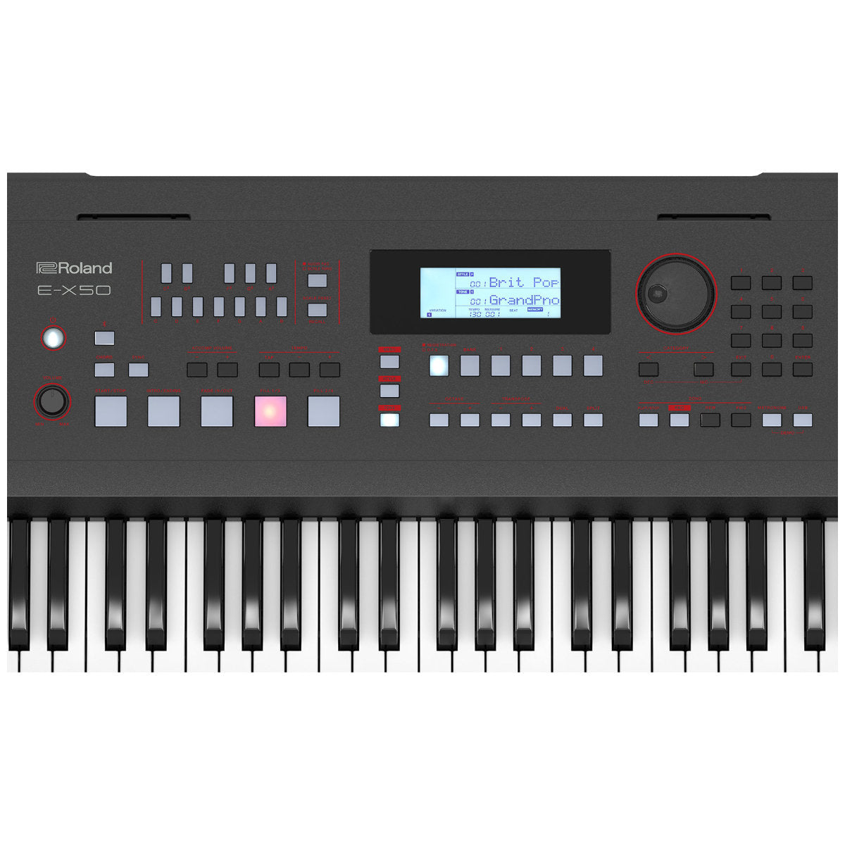 Roland E-X50 Arranger Keyboard – Bananas At Large Inc.® Musical