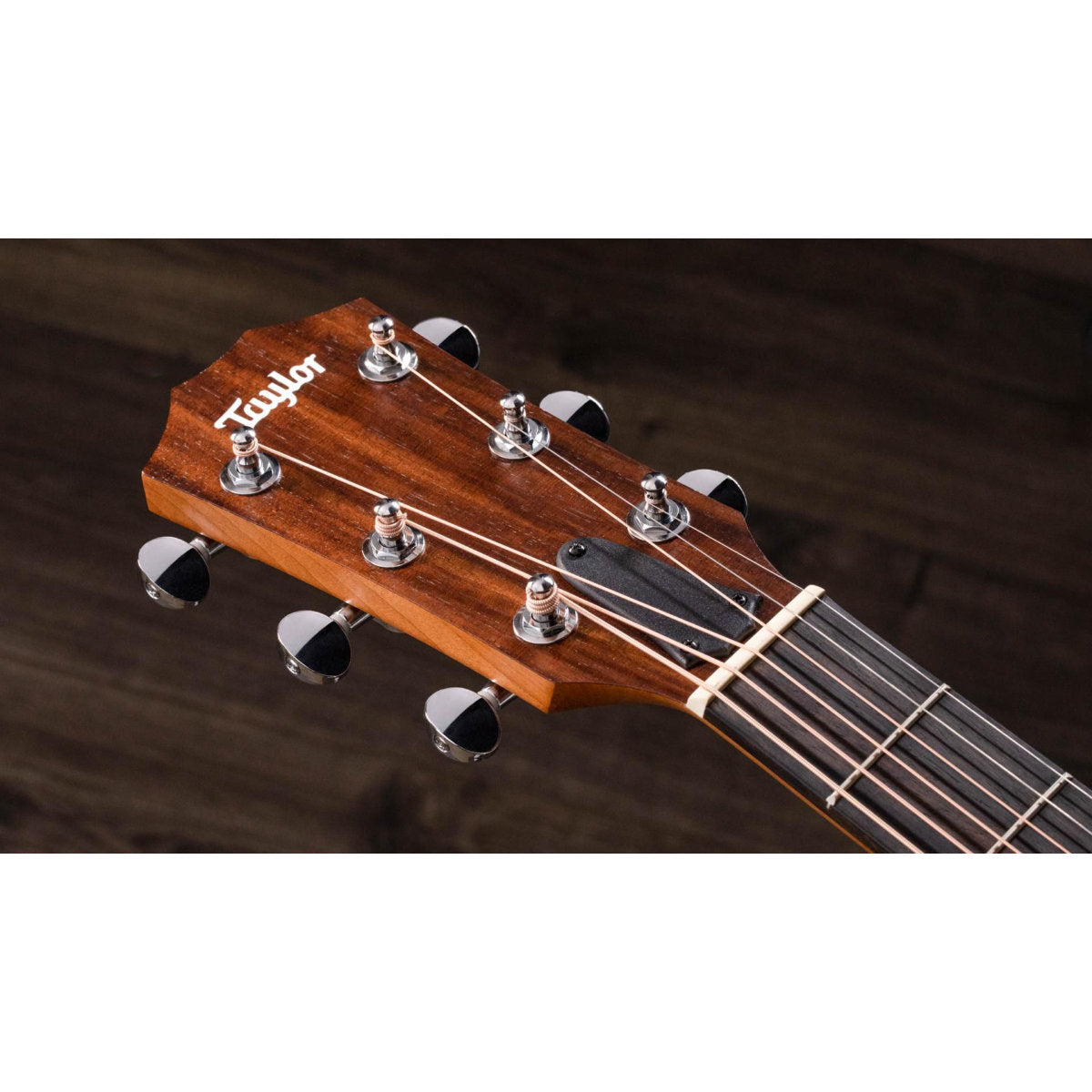 Taylor BBT Big Baby Taylor Acoustic Guitar with Gig Bag - Bananas at Large®