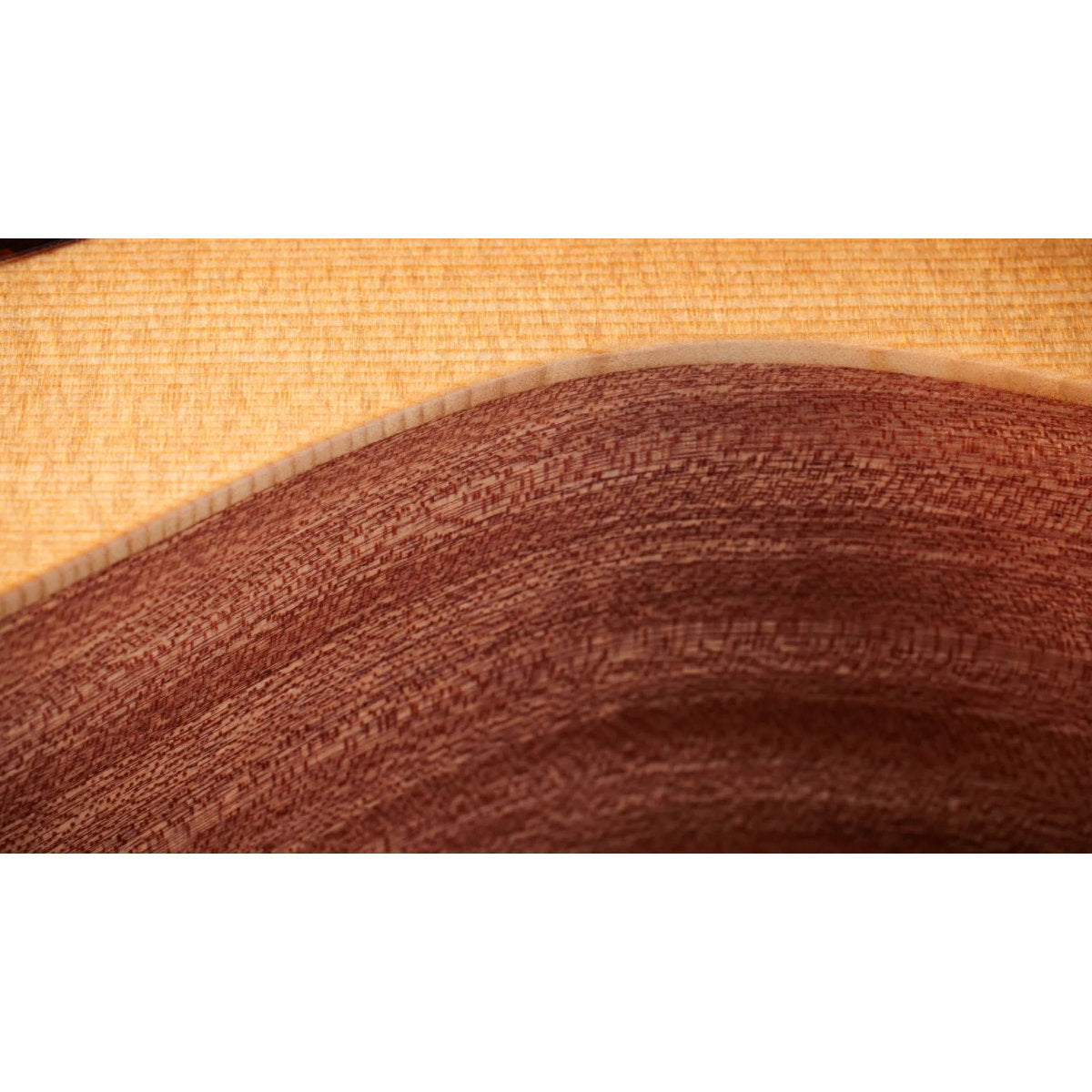 Taylor 14ce Sapele Acoustic-Electric Guitar