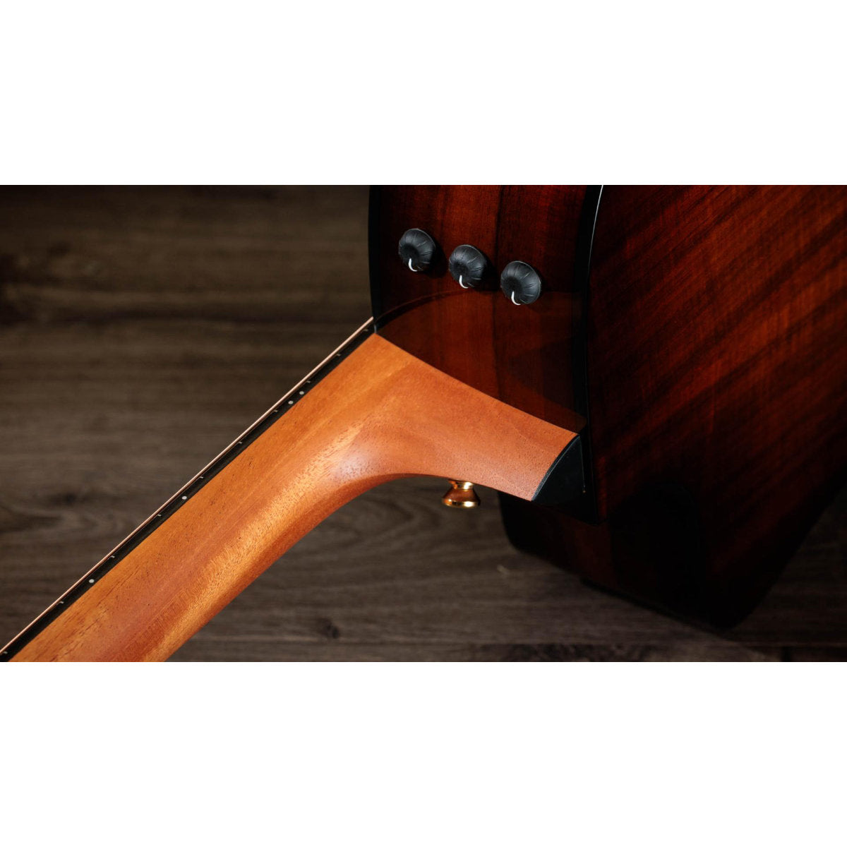 Taylor 224ce-K DLX Acoustic-Electric Guitar - Shaded Edgeburst - Bananas at Large®