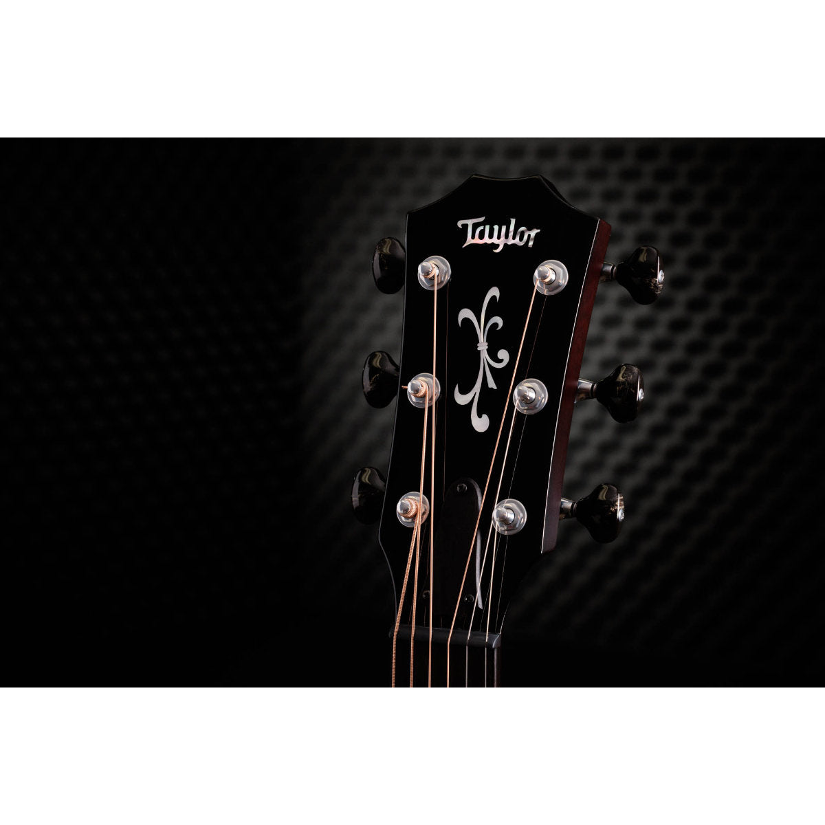 Taylor Custom Shop Limited Edition C14ce C0798 Grand Auditorium Acoustic-Electric Guitar - Striped Western Red Cedar/Mahogany