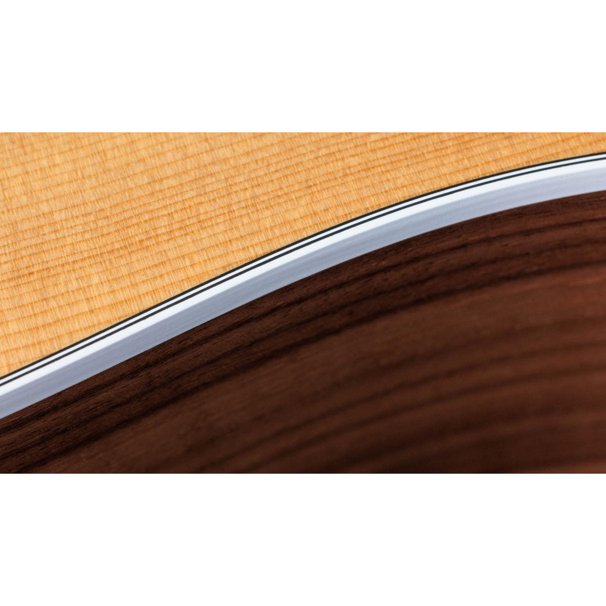 Taylor 210ce Walnut Acoustic-Electric Guitar