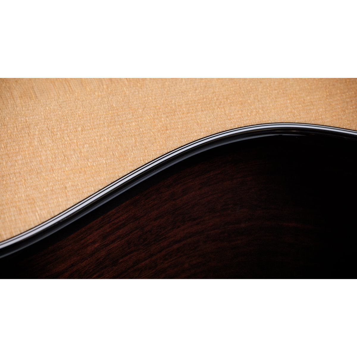 Taylor Next-Gen 414ce Grand Auditorium Acoustic-Electric Guitar - Indian Rosewood/Sitka