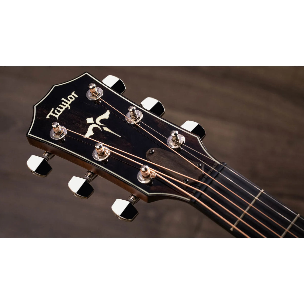 Taylor 614ce Maple Acoustic-Electric Guitar - Torified Solid Sitka Top