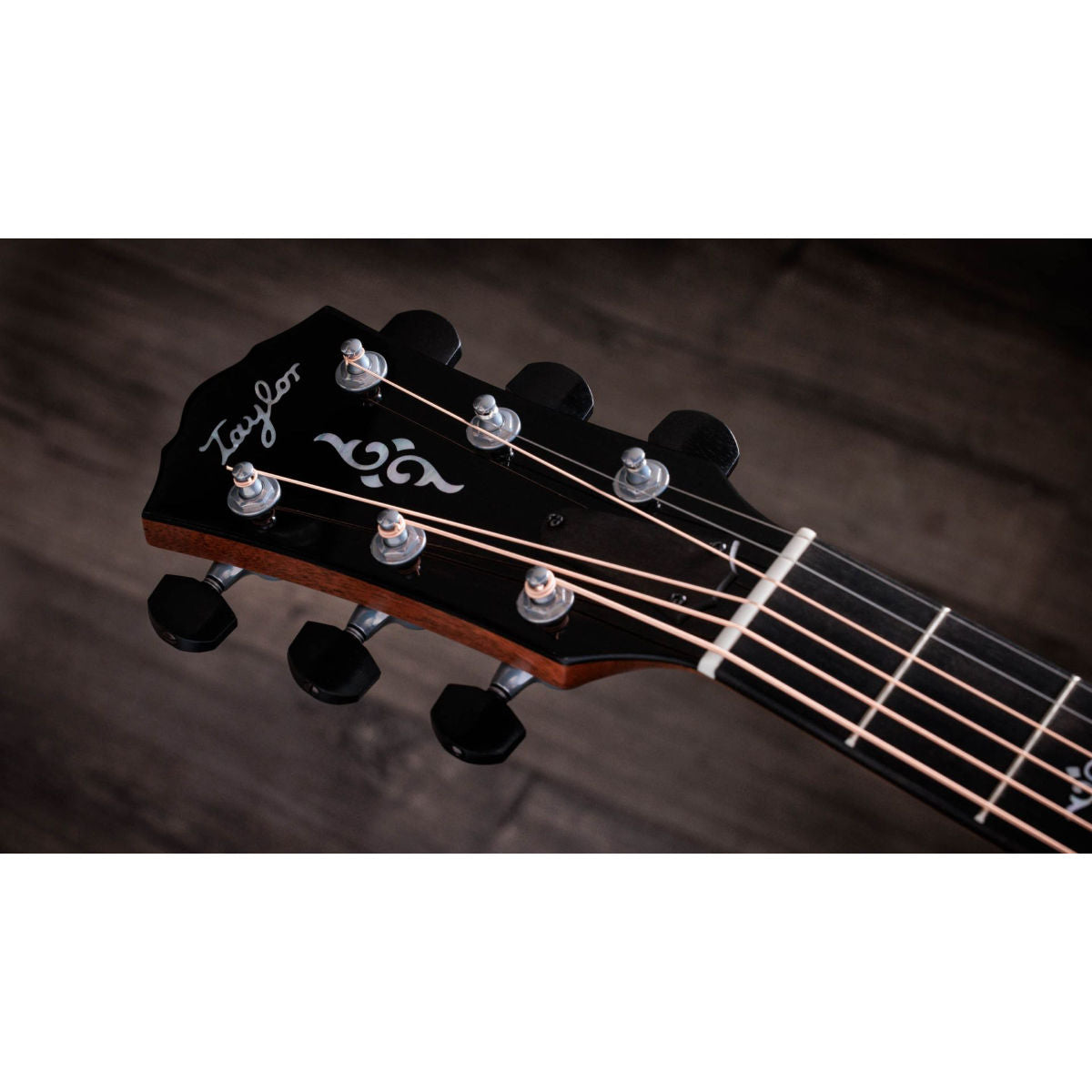 Taylor Gold Label K14e Hawaiian Koa Acoustic-Electric Guitar - Natural - Bananas at Large®