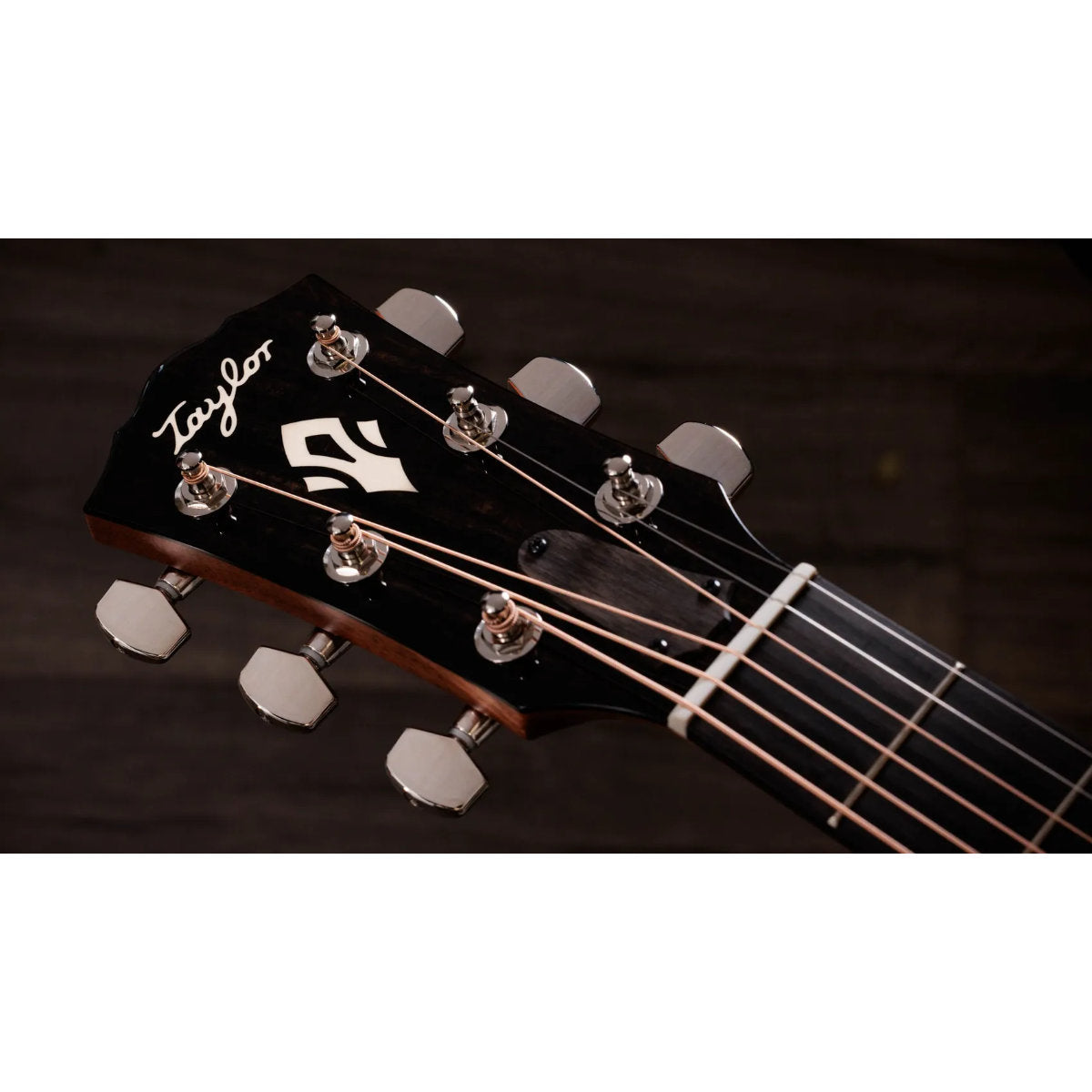 Taylor Gold Label 510e Acoustic-Electric Guitar
