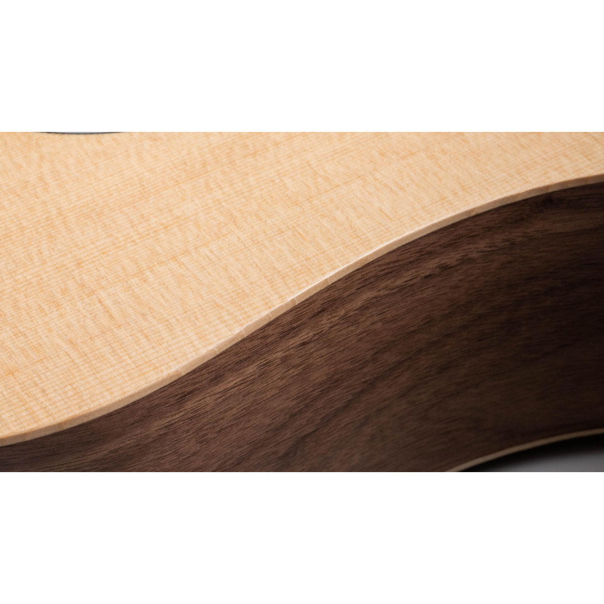 Taylor BBT Big Baby Taylor Acoustic Guitar with Gig Bag - Bananas at Large®