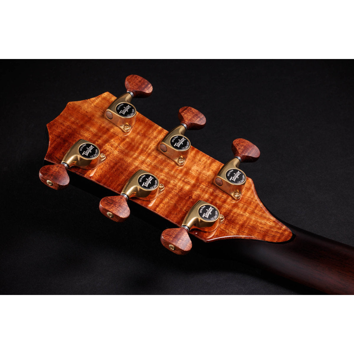 Taylor Custom Shop Limited Edition C24ce B6002 Grand Auditorium Acoustic-Electric Guitar - Figured Hawaiian Koa/Indian Rosewood (Figured Hawaiian Koa Wedge)