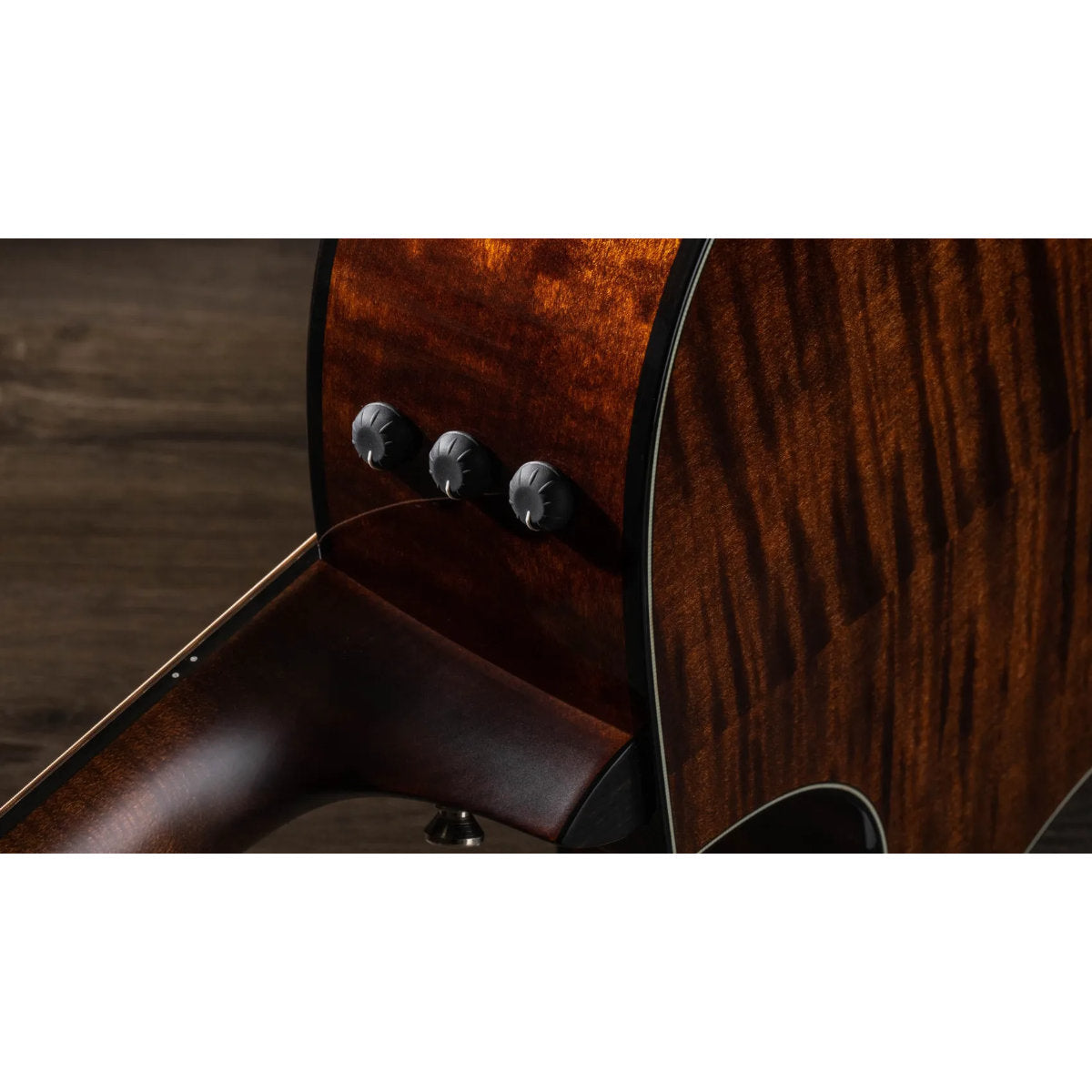 Taylor 614ce Maple Acoustic-Electric Guitar - Torified Solid Sitka Top