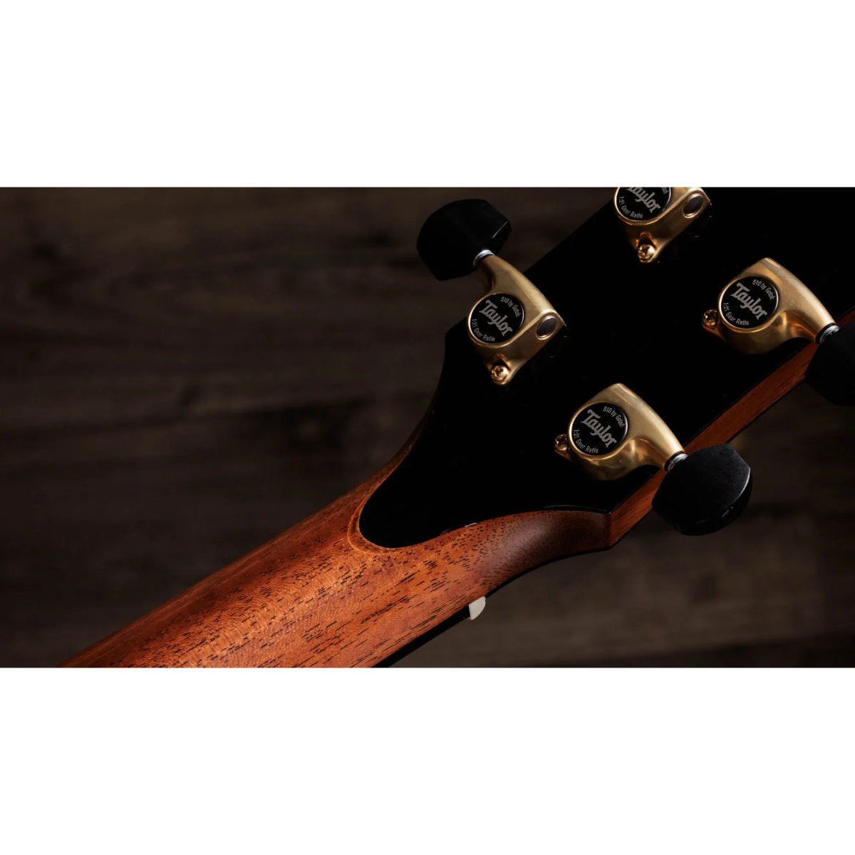 Taylor Gold Label 914e Honduran Rosewood Acoustic-Electric Guitar