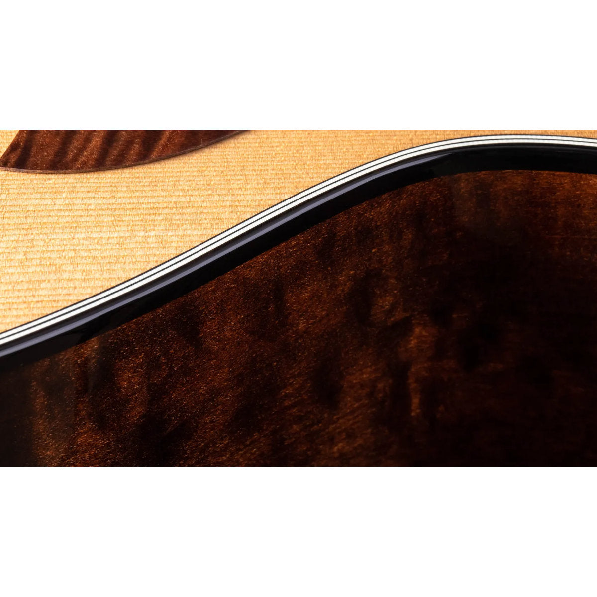 Taylor 614ce Maple Acoustic-Electric Guitar - Torified Solid Sitka Top