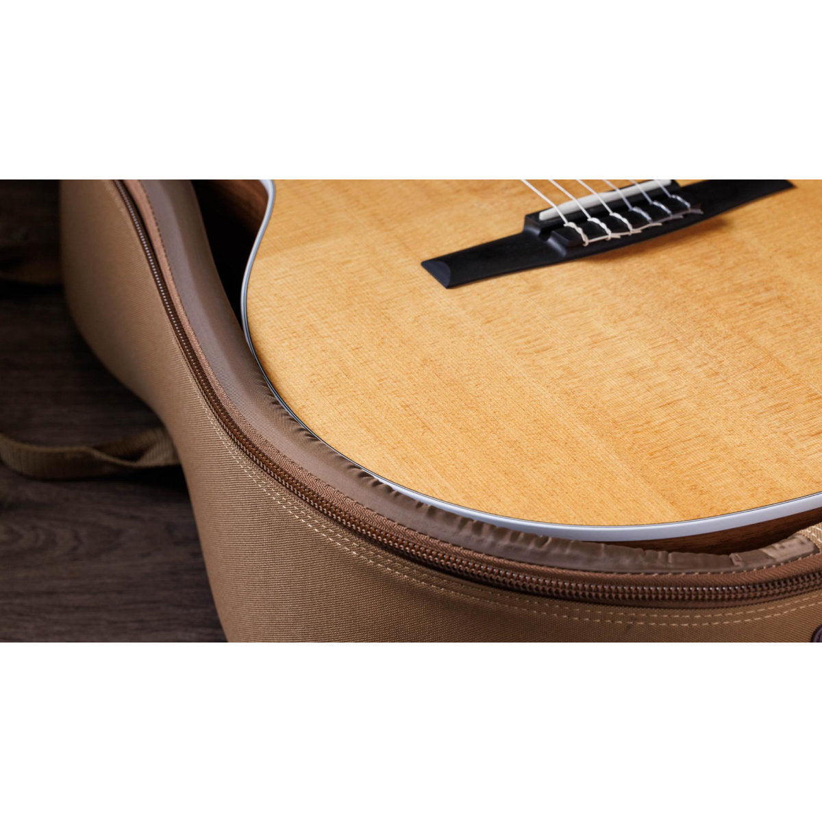 Taylor 214ce-N Nylon String Acoustic-Electric Guitar w/ Case - Bananas at Large®