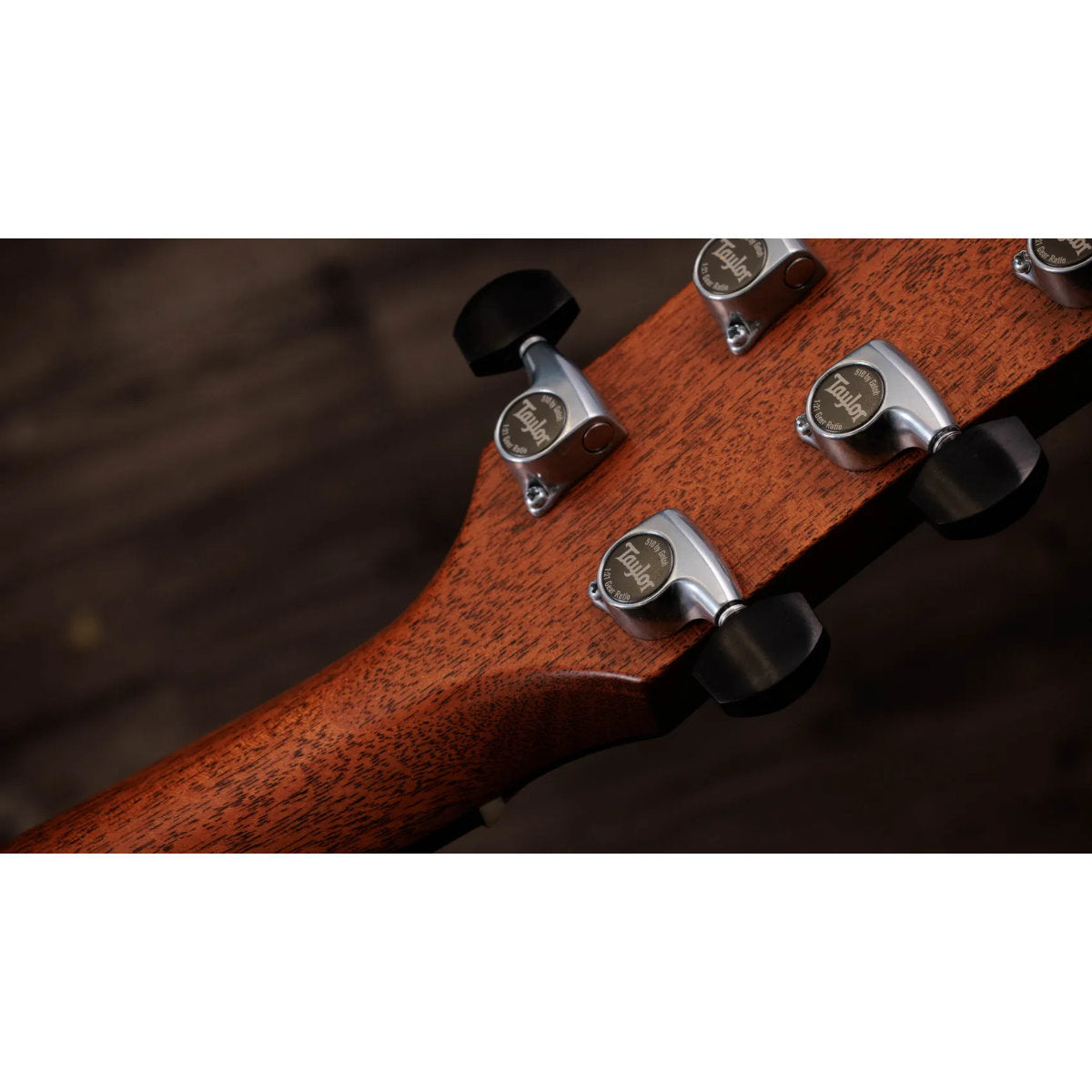 Taylor Gold Label 810e Honduran Rosewood Acoustic-Electric Guitar