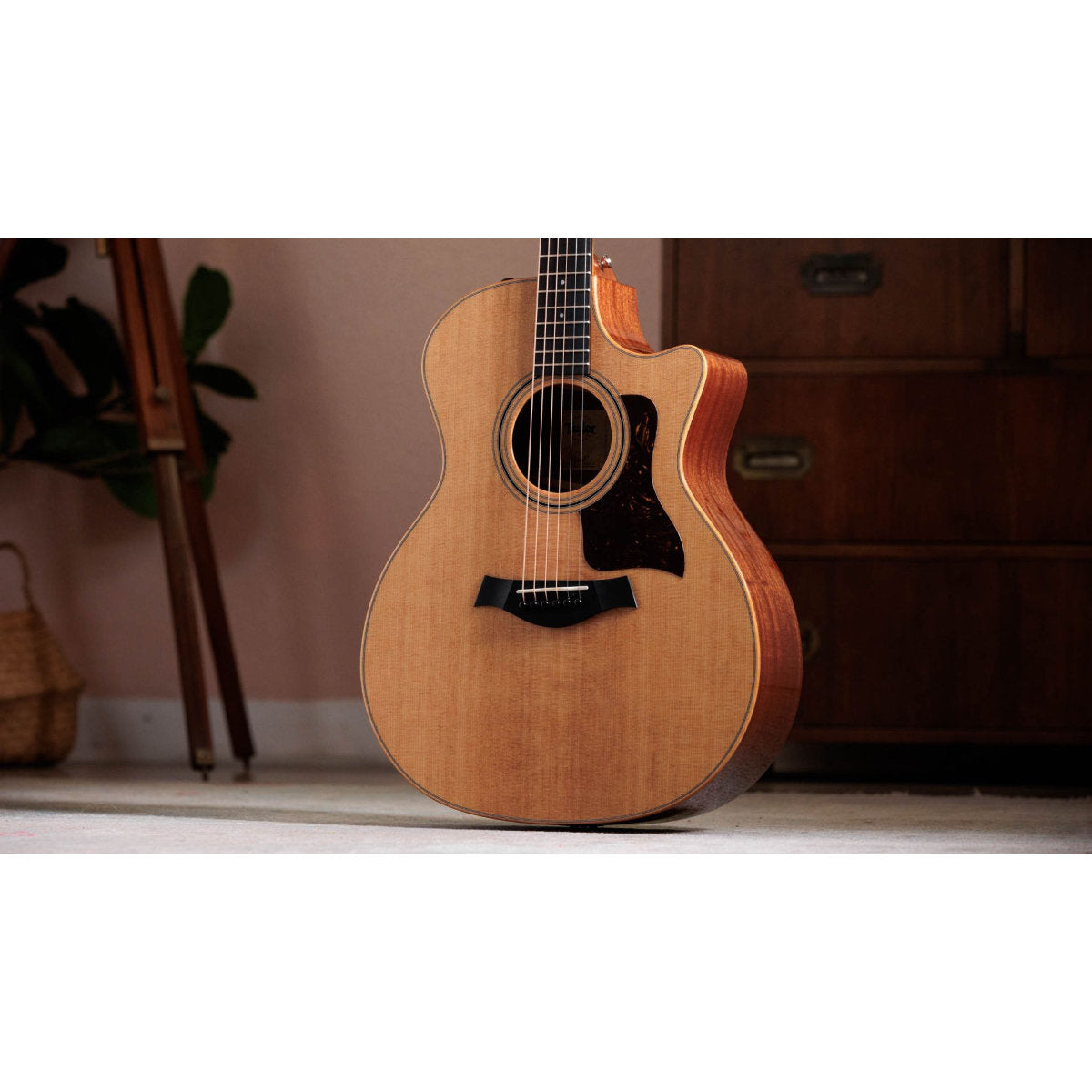 Taylor 314ce Studio Acoustic-Electric Guitar - Natural - Bananas at Large®