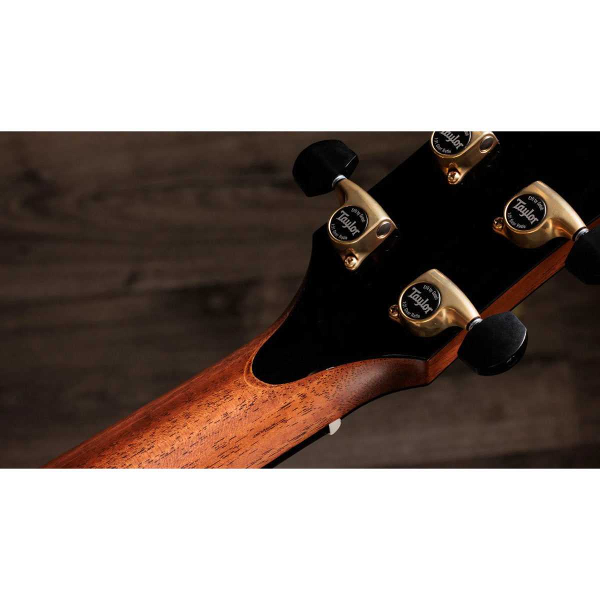 Taylor Gold Label 917e Honduran Rosewood Acoustic-Electric Guitar