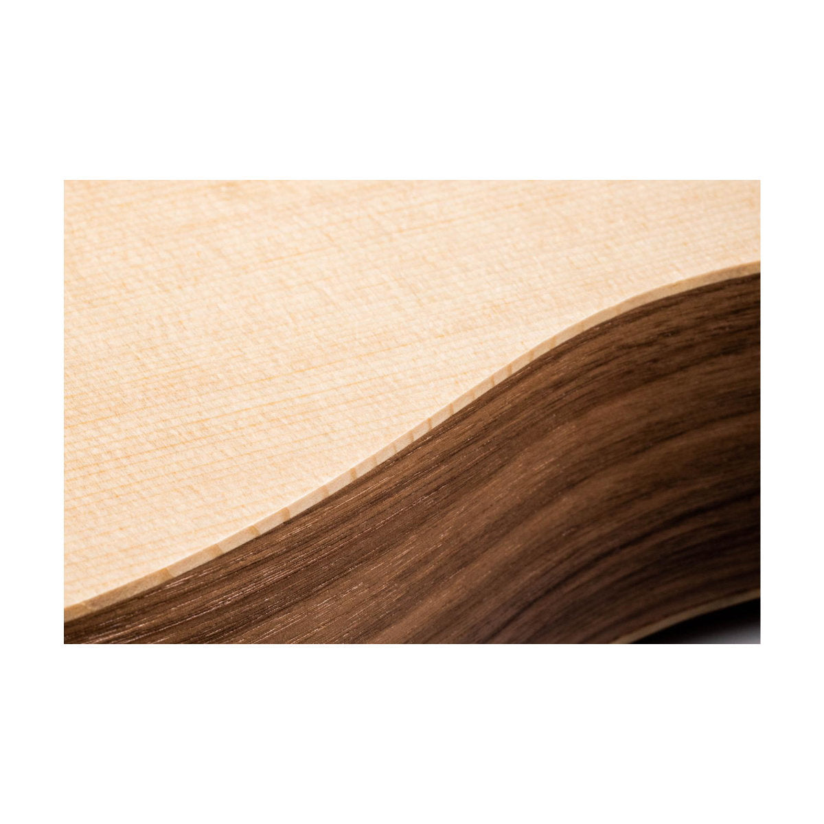 Taylor BT1e Baby Taylor Acoustic Guitar - Bananas at Large®