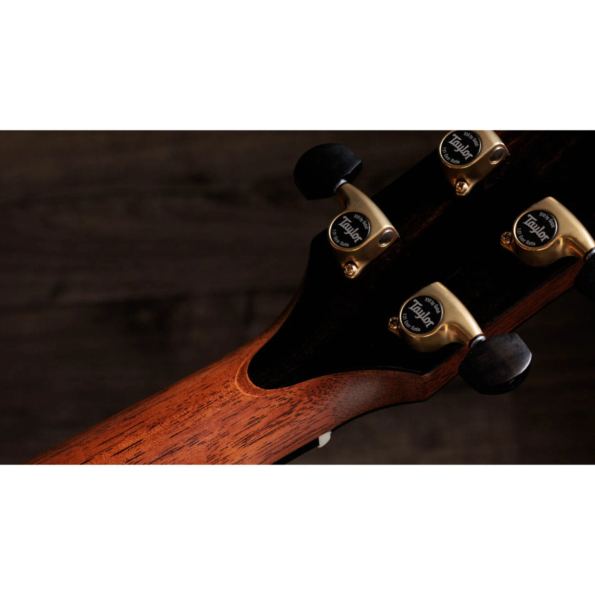 Taylor Gold Label 917e SB Honduran Rosewood Acoustic-Electric Guitar - Teardrop Sunburst