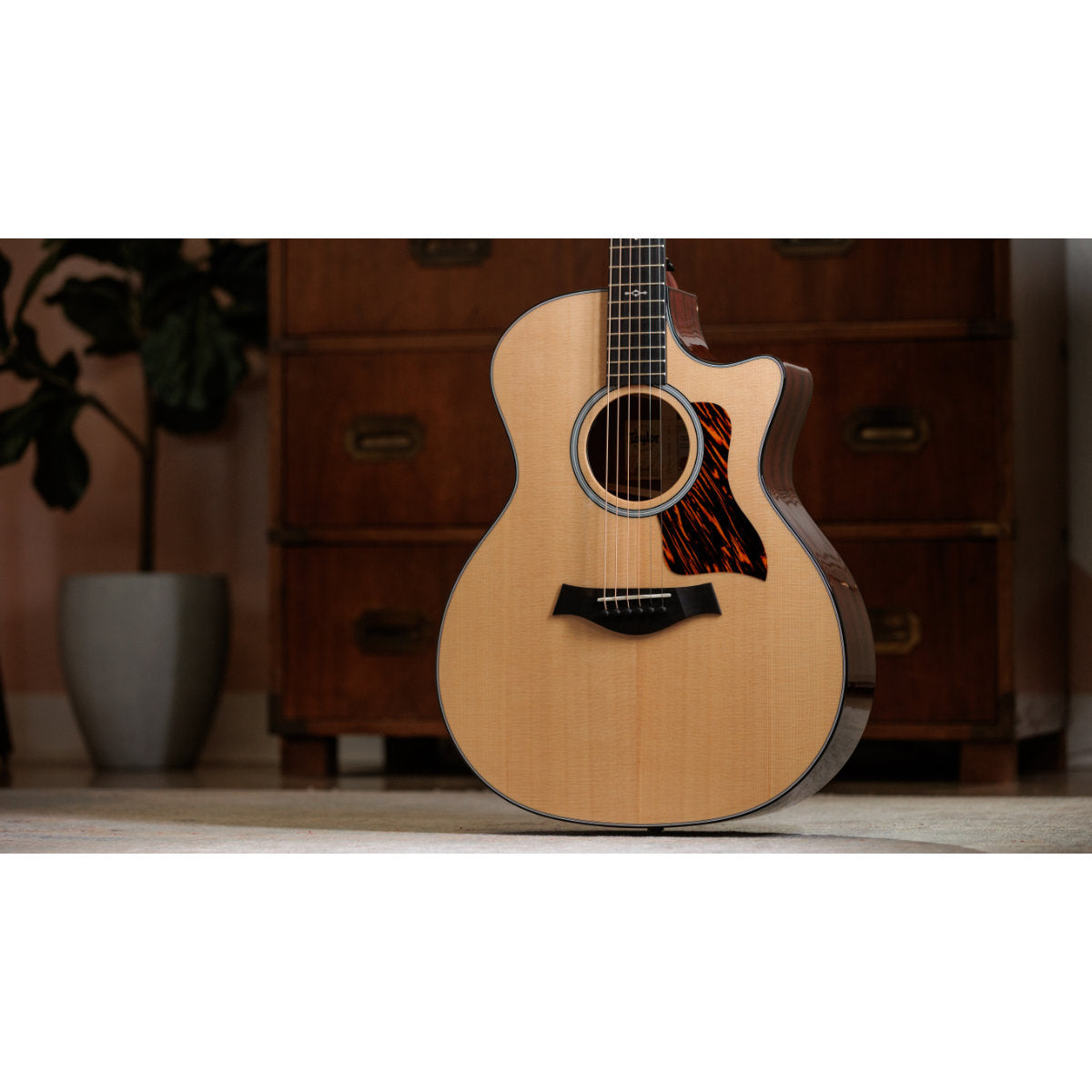 Taylor Next-Gen 314ce Grand Auditorium Acoustic-Electric Guitar - Sapele/Sitka - Bananas at Large®
