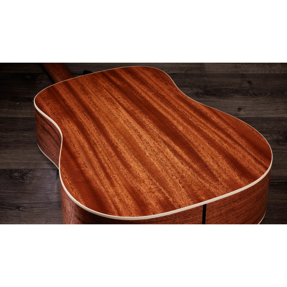 Taylor Gold Label 510e Acoustic-Electric Guitar