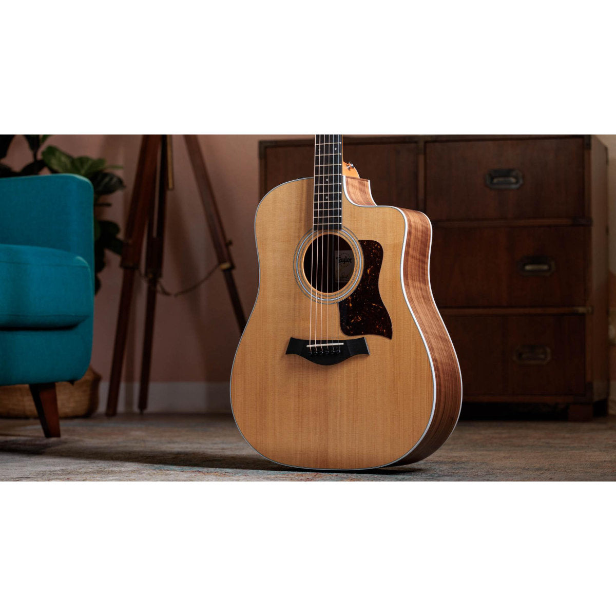 Taylor 210ce Walnut Acoustic-Electric Guitar