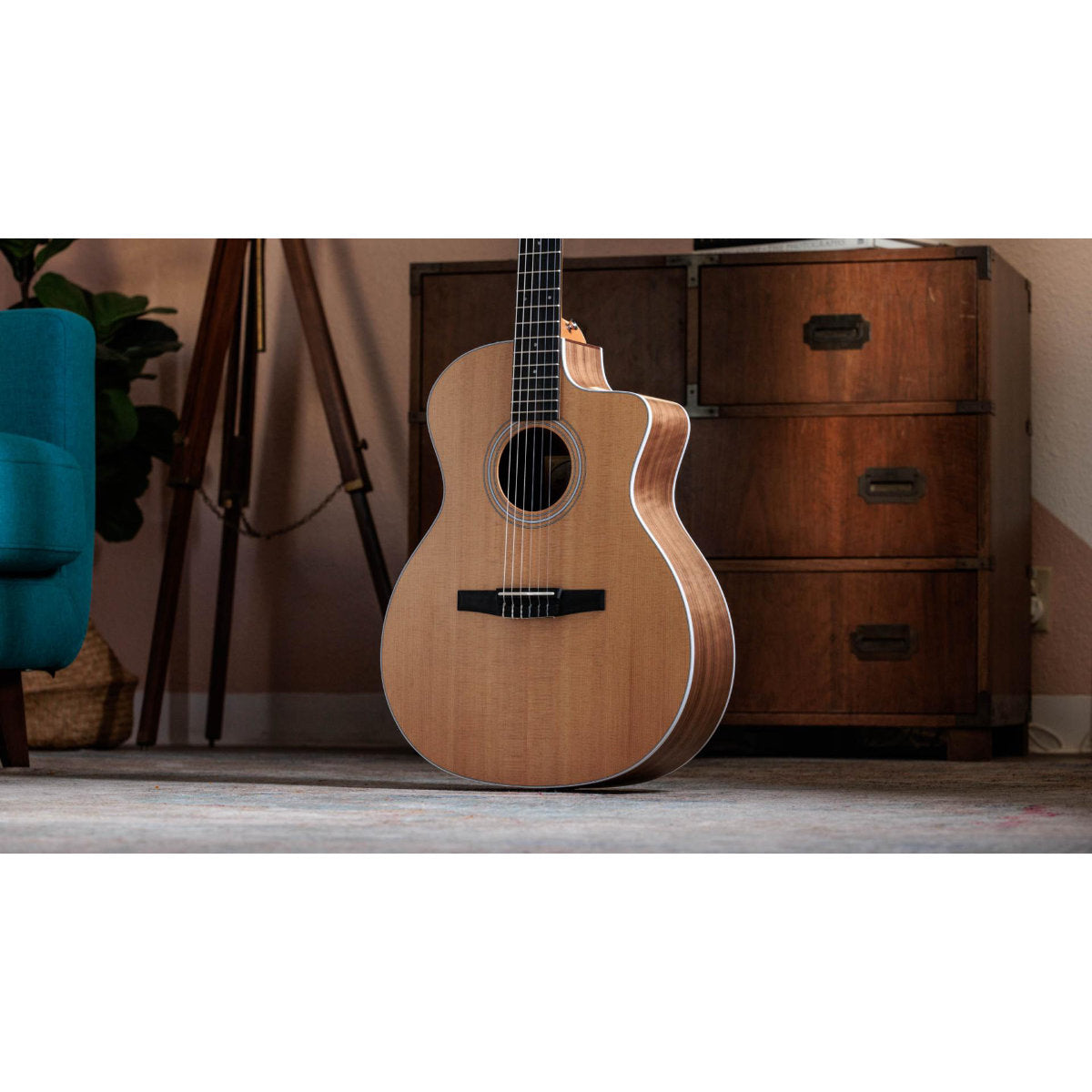 Taylor 214ce-N Nylon String Acoustic-Electric Guitar w/ Case - Bananas at Large®