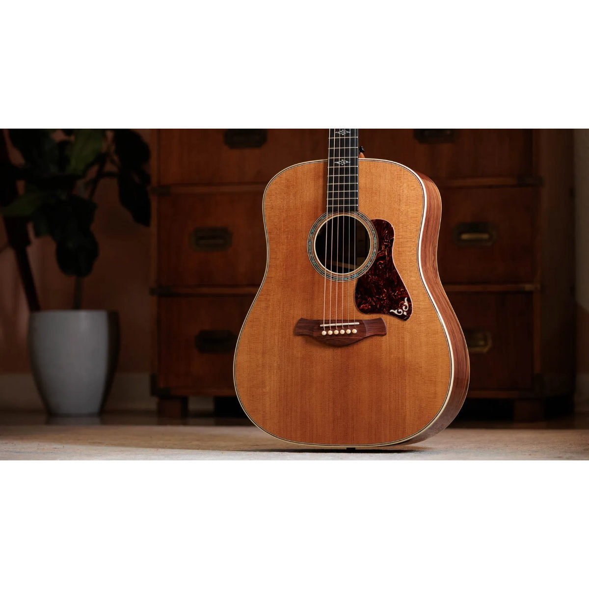 Taylor Gold Label 810e Honduran Rosewood Acoustic-Electric Guitar
