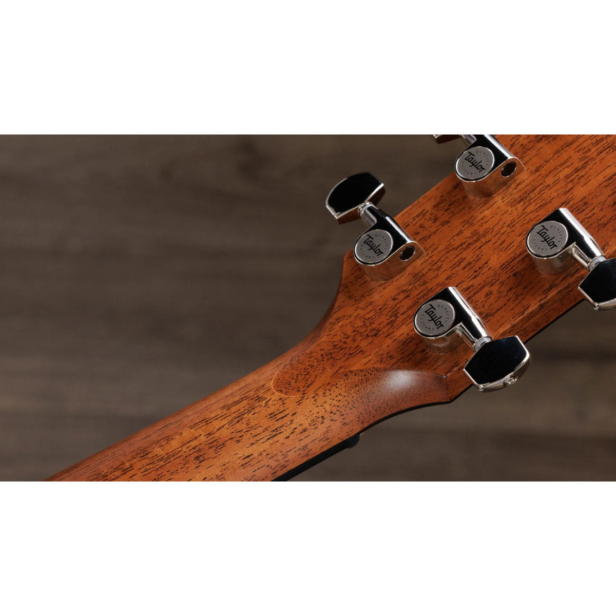 Taylor Next Generation 512ce Neo-tropical Mahogany Acoustic-Electric Guitar