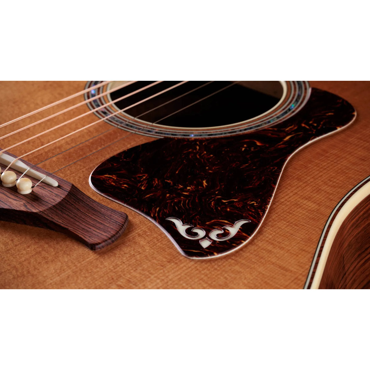 Taylor Gold Label 810e Honduran Rosewood Acoustic-Electric Guitar