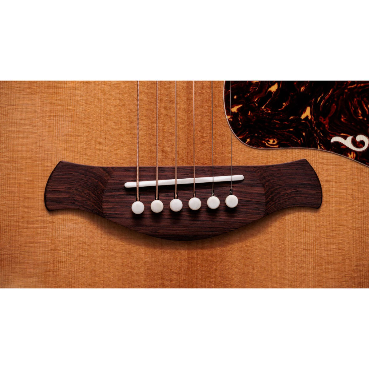 Taylor Gold Label K14e Hawaiian Koa Acoustic-Electric Guitar - Natural - Bananas at Large®