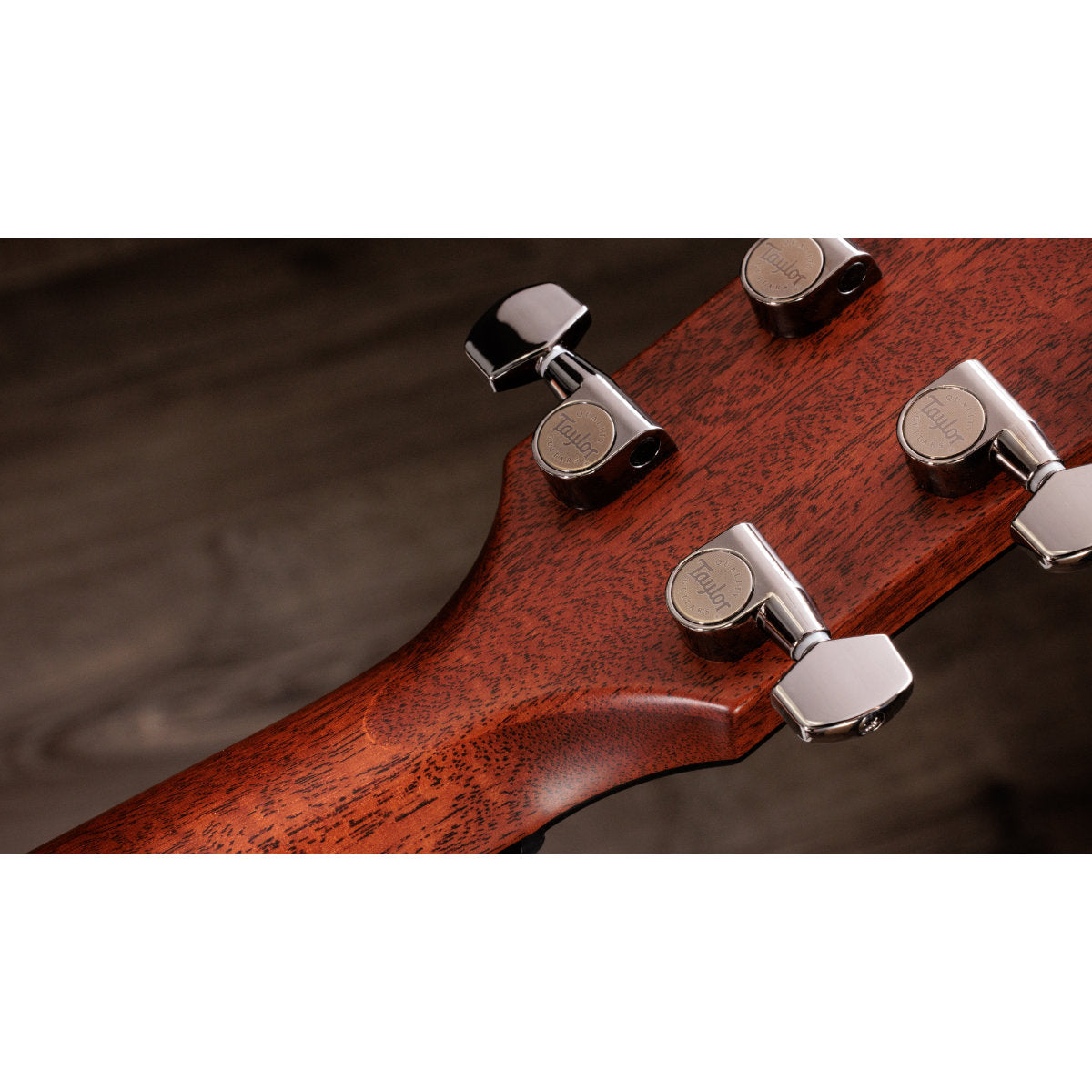 Taylor Next-Gen 814ce Grand Auditorium Acoustic-Electric Guitar - Bananas at Large®