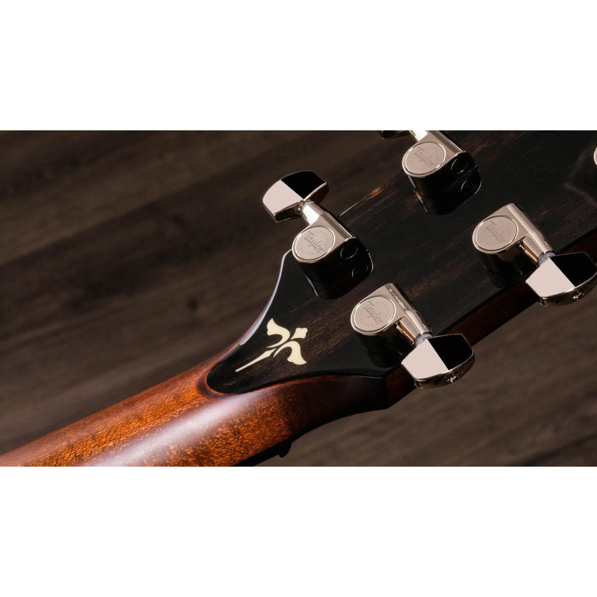 Taylor 614ce Maple Acoustic-Electric Guitar - Torified Solid Sitka Top