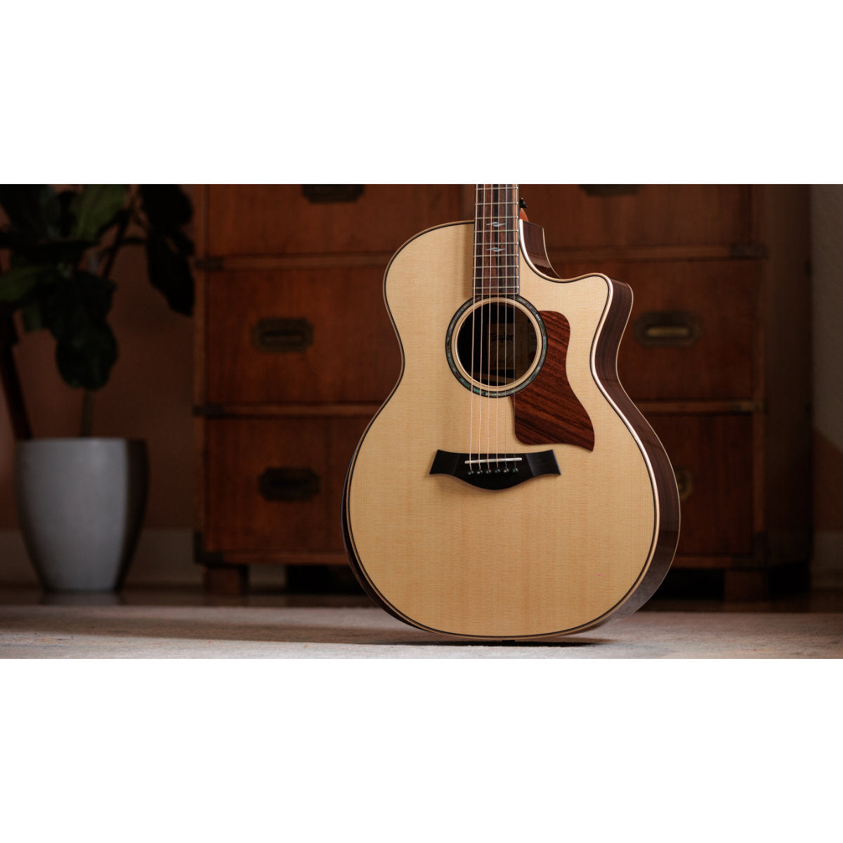 Taylor Next-Gen 814ce Grand Auditorium Acoustic-Electric Guitar - Bananas at Large®
