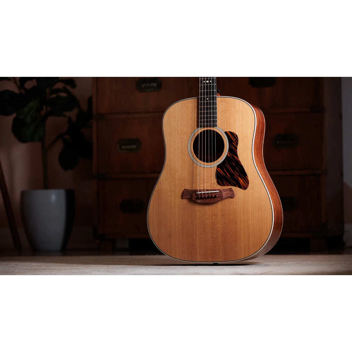 Taylor Gold Label 510e Acoustic-Electric Guitar