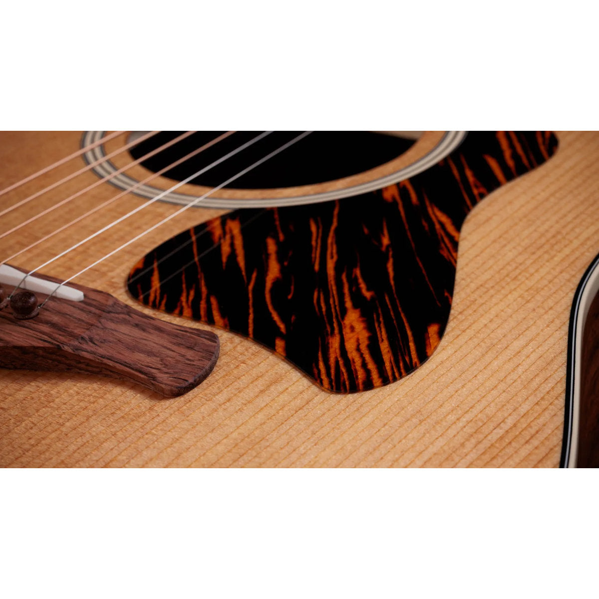 Taylor Gold Label 510e Acoustic-Electric Guitar