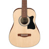 Ibanez IJV30 Jampack Acoustic Guitar Pack