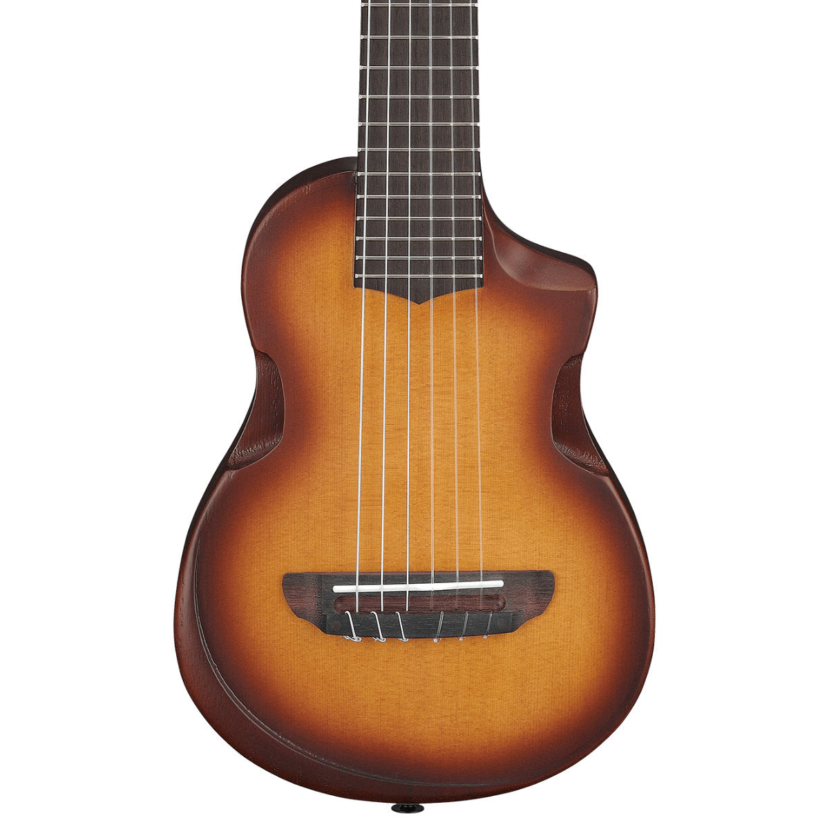 Ibanez AUP10N AU Series Acoustic Tenor Ukulele - Open Pore Light Brown Sunburst Top - Natural Open Pore Back and Sides