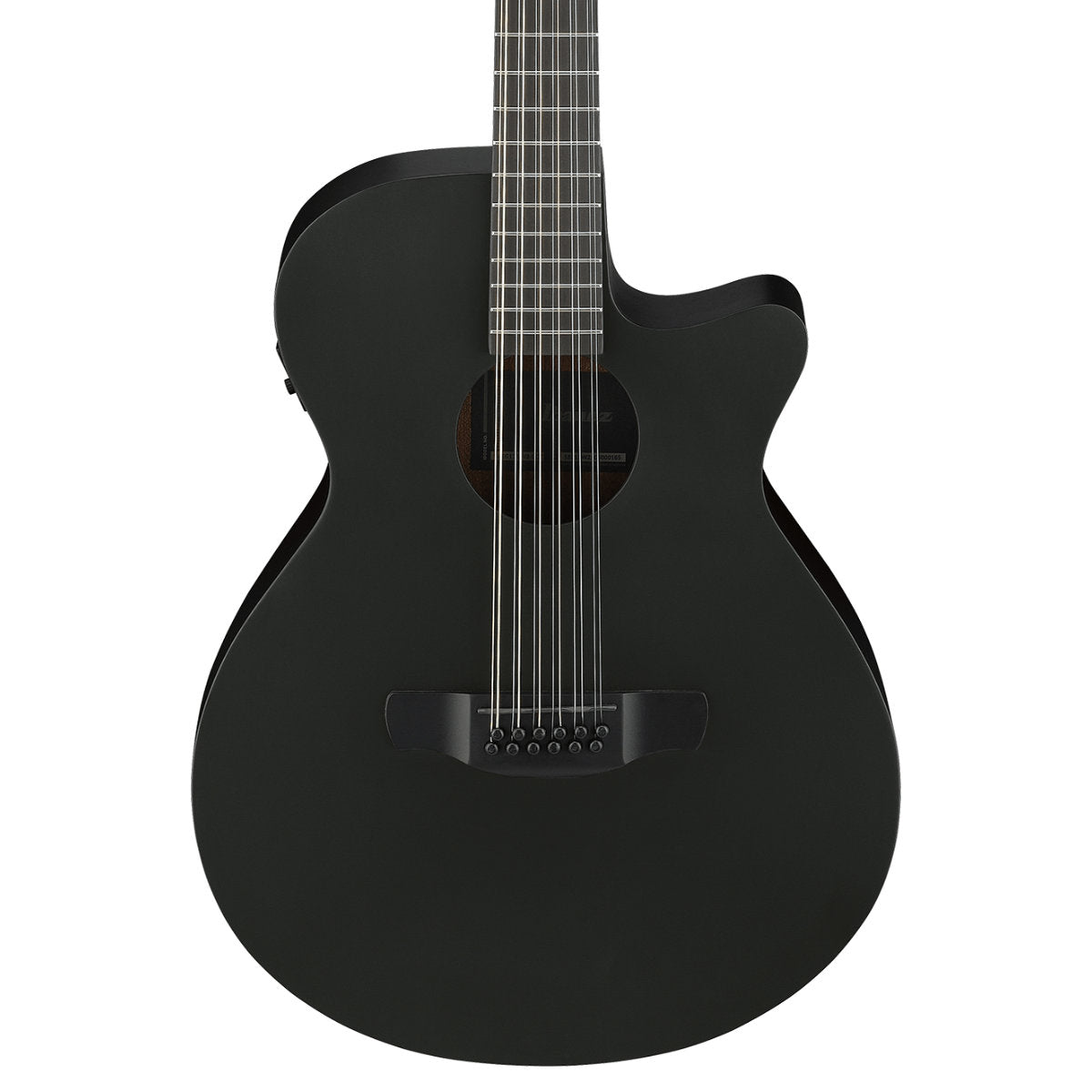 Ibanez AEG1221 AEG Series 12-String Acoustic-Electric Guitar - Black Out
