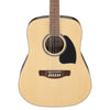 Ibanez 12-String Dreadnought Acoustic Guitar - Natural High Gloss