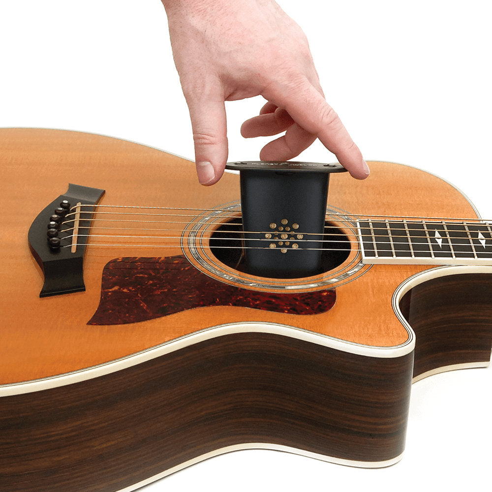 D'Addario Acoustic Guitar Soundhole Humidifier - Bananas at Large®