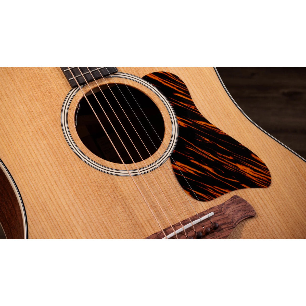 Taylor Gold Label 510e Acoustic-Electric Guitar