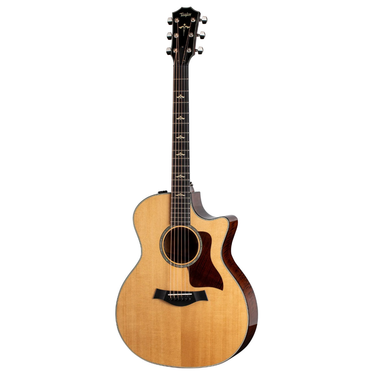 Taylor 614ce Maple Acoustic-Electric Guitar - Torified Solid Sitka Top