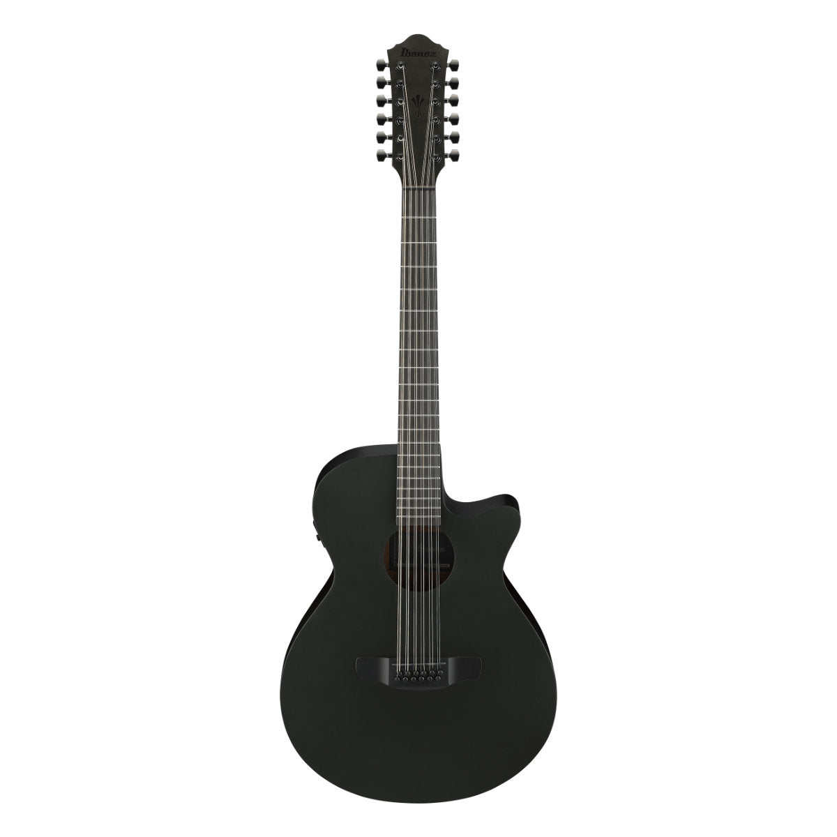 Ibanez AEG1221 AEG Series 12-String Acoustic-Electric Guitar - Black Out