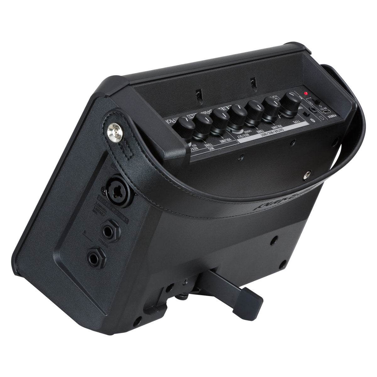 Roland CUBE Street MINI Portable Amplifier - Bananas at Large®
