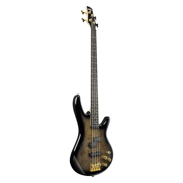 Ibanez SR Series Gio Electric Bass Guitar - Transparent Pale Black Burst