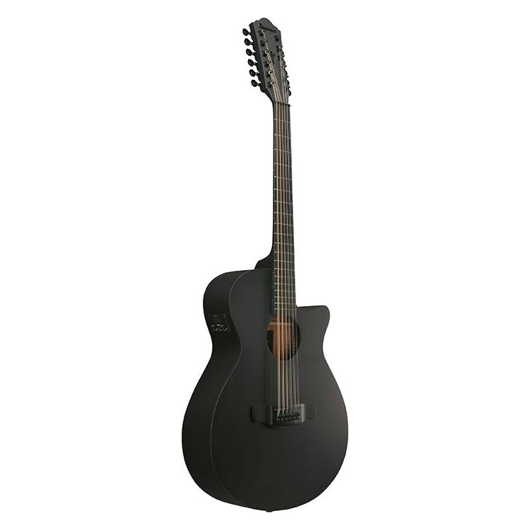 Ibanez AEG1221 AEG Series 12-String Acoustic-Electric Guitar - Black Out