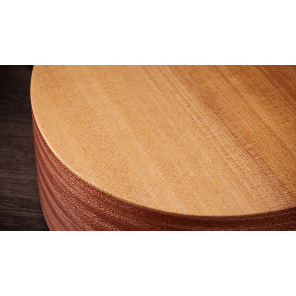 Taylor 14ce Sapele Acoustic-Electric Guitar